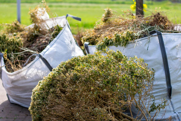 Best Electronics Removal Services  in Spring Lake Park, MN